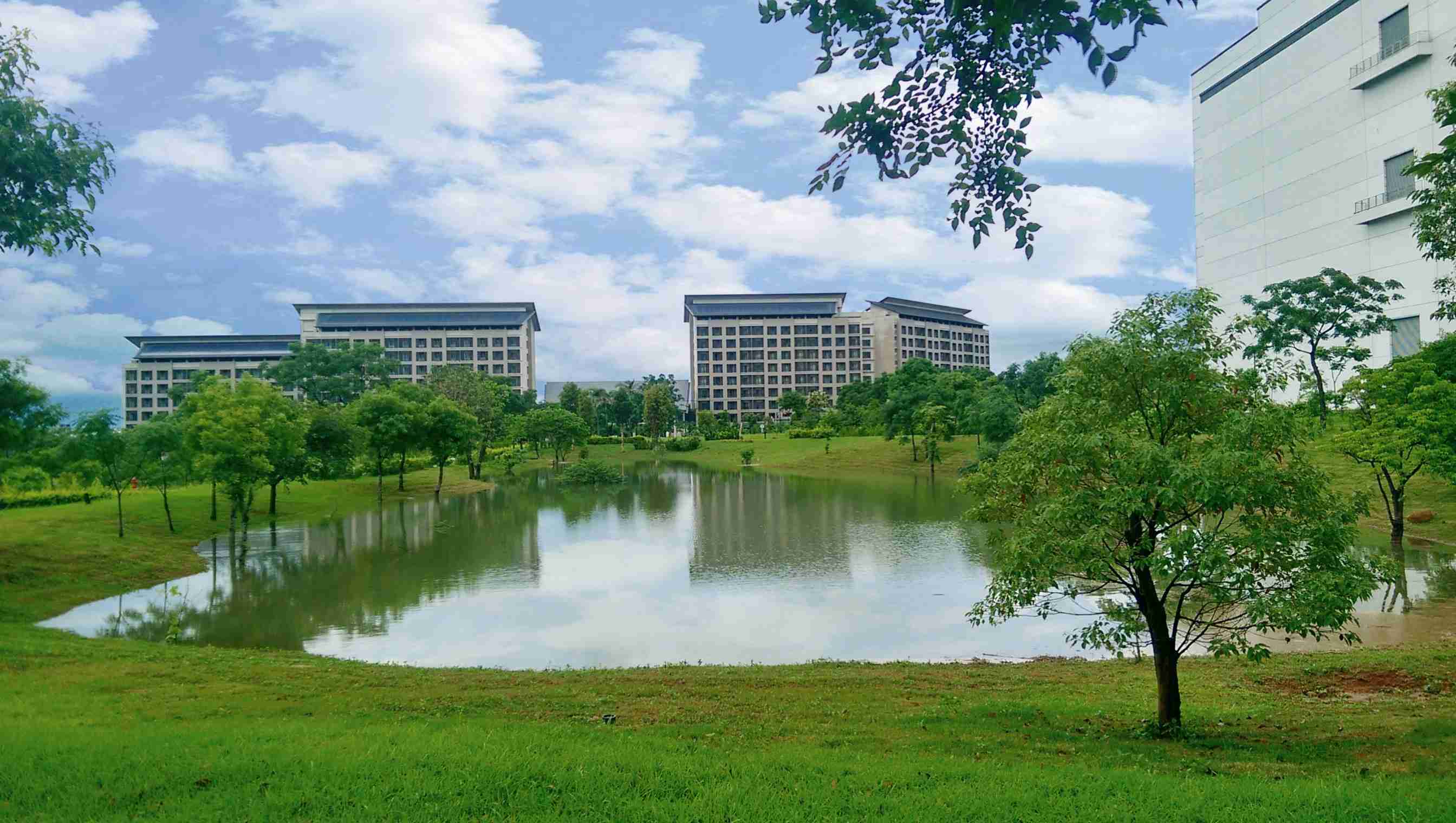 尊龙z6响应国际倡议生物多样性趋势，，首次发布TNFD自然相关财务揭露报告书，，，擘划及开展尊龙z6生物多样性政策之承诺，，，逐步迈向与自然和谐共生